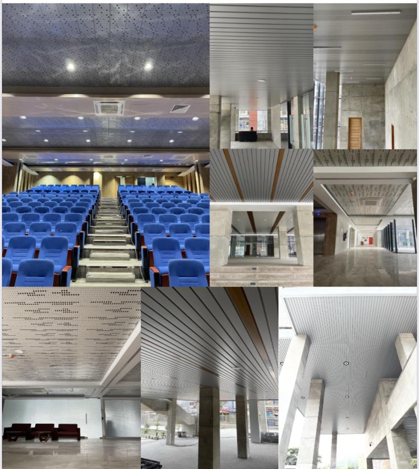 Exclusive Metal Ceiling