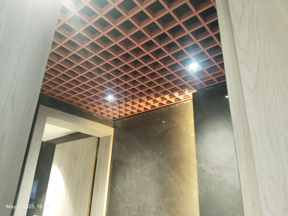 Modern Commercial Ceiling