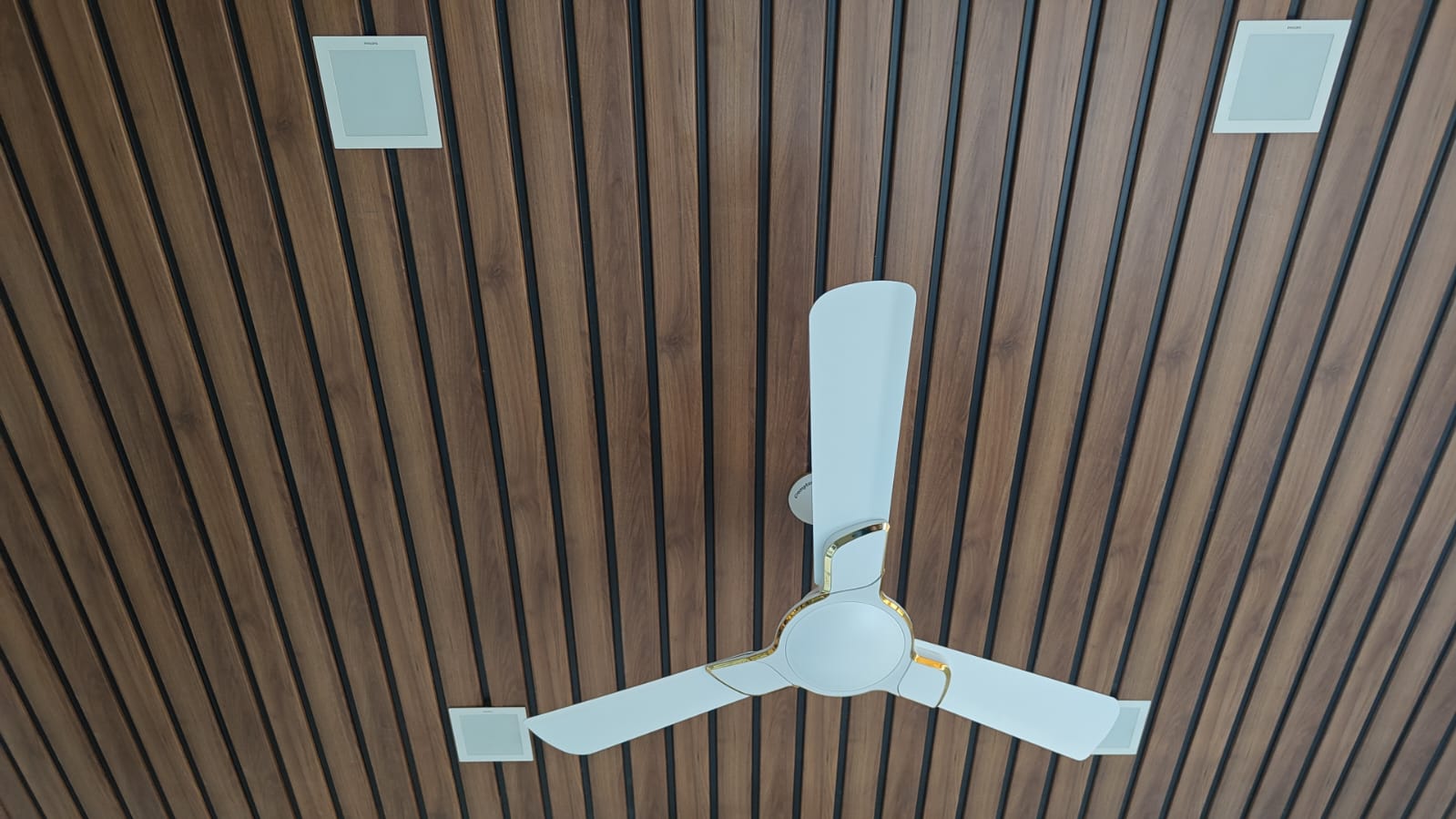 Vox Ceiling 05